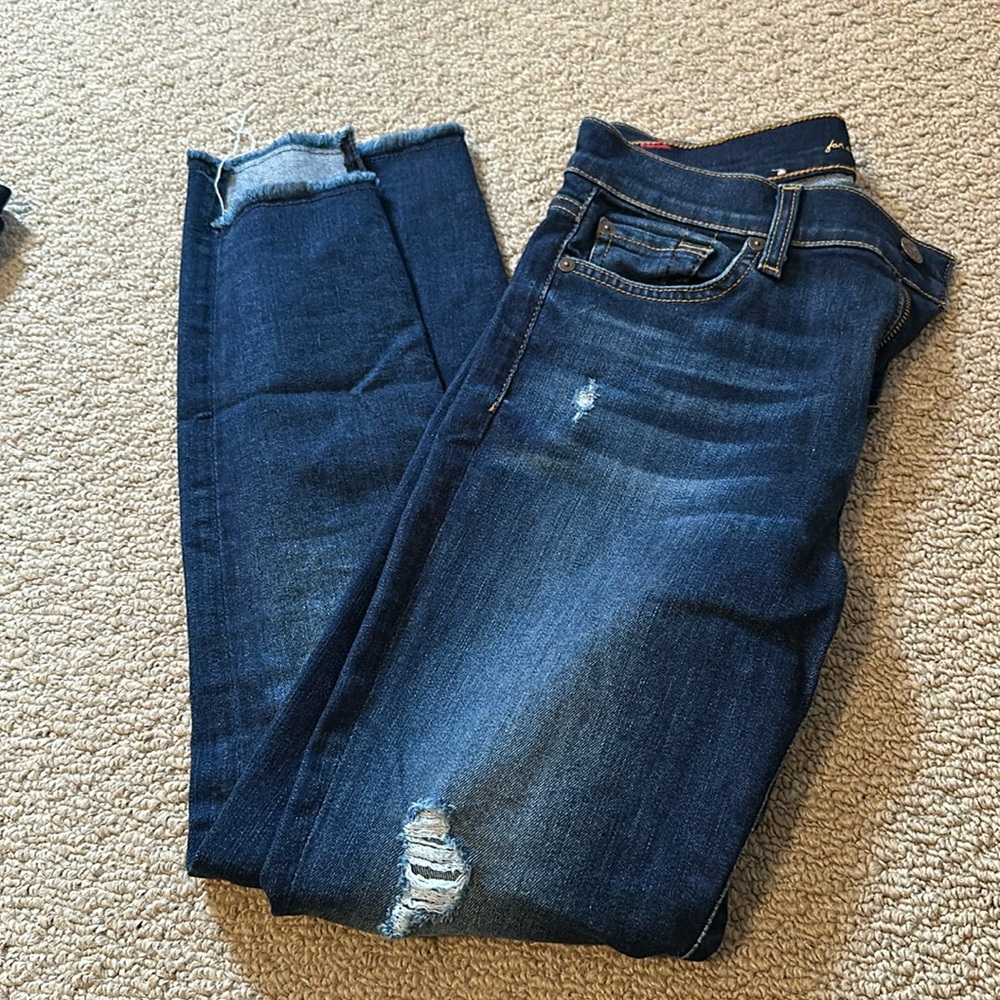 7 for all mankind the ankle skinny